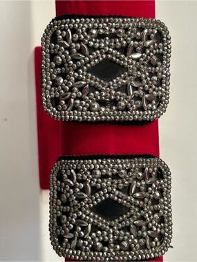 Precious and beautiful 1800’s French cut steel shoe clips